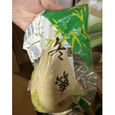 冬笋 
