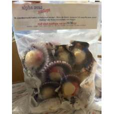 【袋装】单面带壳 扇贝肉 20-30IQF 1kg