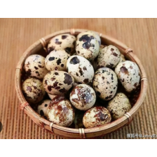 鹌鹑蛋  12粒/盒x6盒