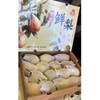 中国鲜梨 红香梨 3.5kg