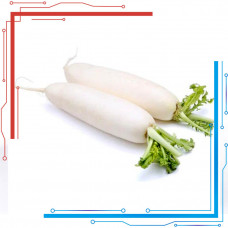 白萝卜(根)  1.5左右