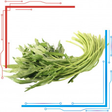 空心菜（通菜） 200g