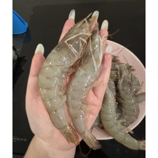 虾皇 整只大虾2kg HOSO 20/30 大号