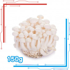 新鲜 白玉菇 150g