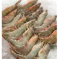虾皇 整只大虾2kg HOSO 40/50 小号
